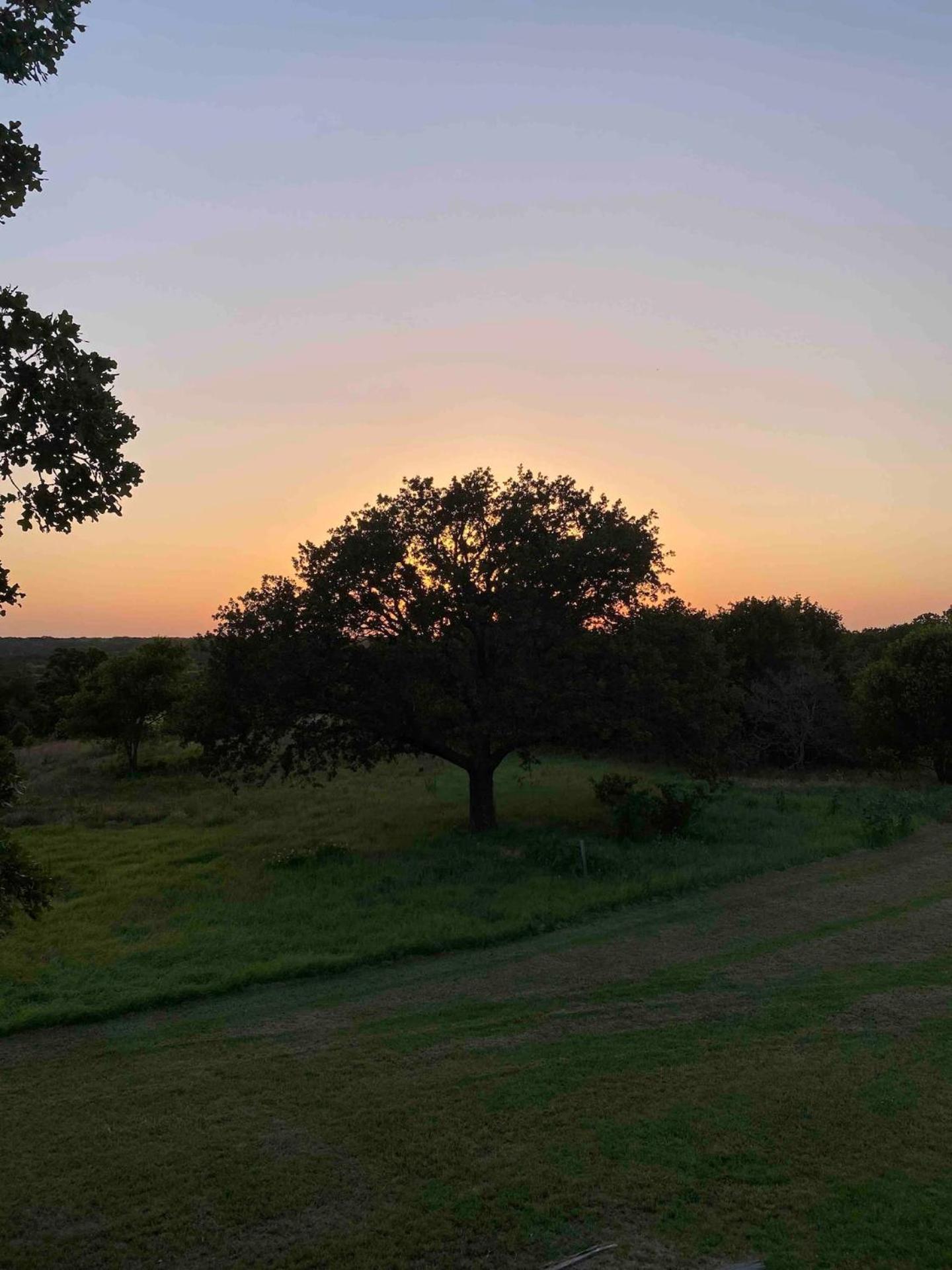 Nature Retreateclectic Country Boho Farmhouse Nocona Exterior foto
